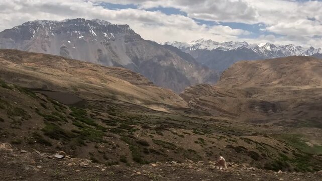 Mountain Hills Across the Himalayan Landscape