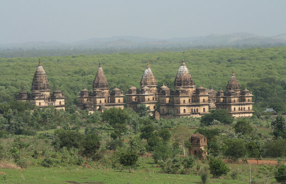 Panoramic view of multiple historic stone chhatris and cenotaphs lined up amidst a lush green forest landscape from Orchha fort