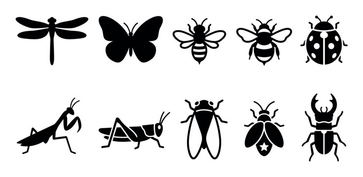 Various insect silhouettes collection featuring common flying and crawling creatures including dragonflies, butterflies, bees, ladybugs, mantises, grasshoppers, cicadas, and beetles.