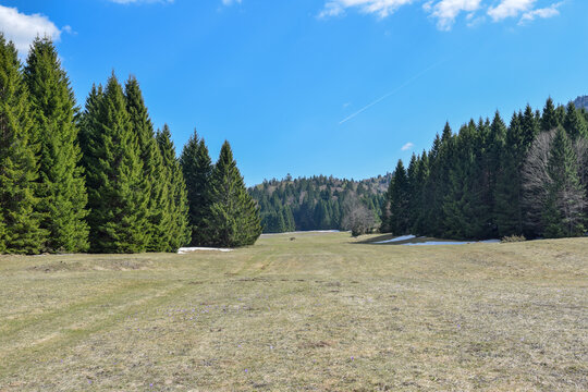 Beautiful valley surrounded with fir forest. Čorkova uvala primeval forest, National park Plitvice Lakes, Croatia