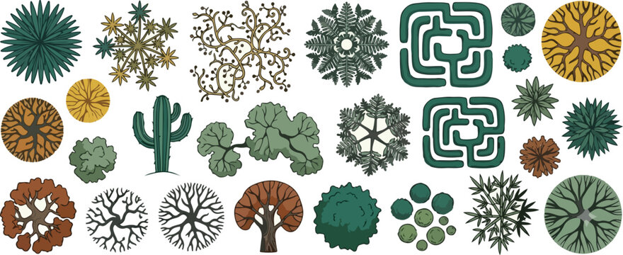 Architectural tree. Green trees top view. Silhouette various plants for landscape design and plans. Garden trees, bushes, shrubs for architectural entourage. Vector set