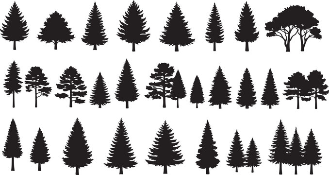 Black Pine Tree Silhouettes, Forest Icons, 25 Trees