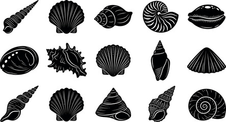 A curated collection of fifteen distinct black and white seashell silhouettes displayed in a grid, showcasing the diverse forms and intricate patterns of marine life. © RAC.Design-Magic