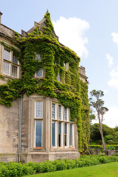 Muckross House Vines Killarney National Park Ireland