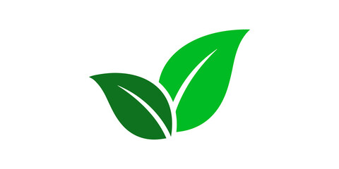 Green leaves on transparent background © Shan masih