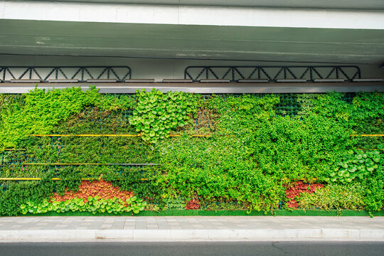 Green living wall installed beneath elevated road in modern city. Vertical garden integrated into transport infrastructure, sustainable urban planning, biophilic architecture
