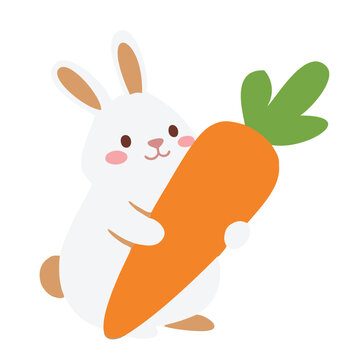 rabitti coelho