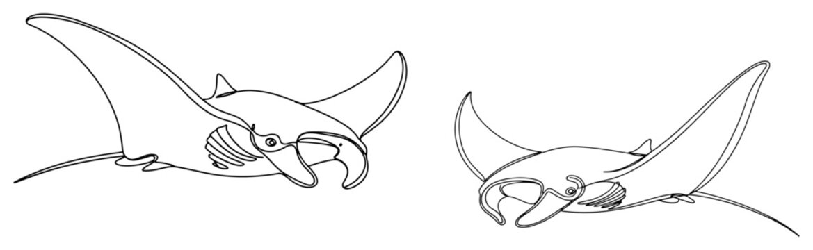 Manta rays swimming in the ocean in continuous line art style