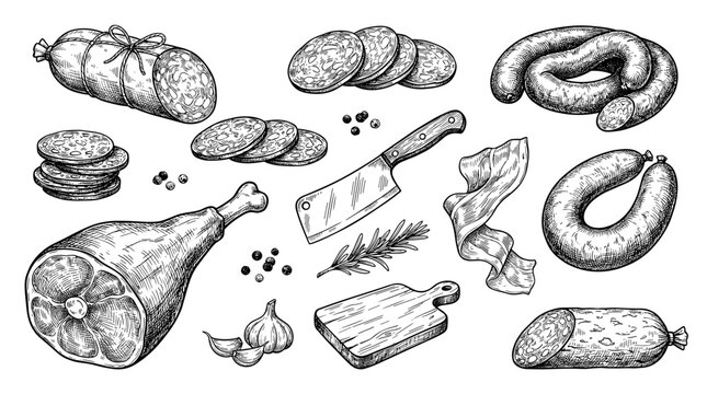 Hand drawn black ink sketch of salami roll and meat slice, isolated on white background for butcher shop