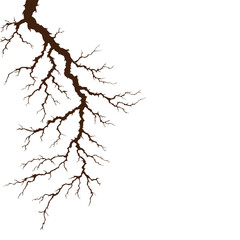 Fototapeta premium Dark Tree Branch Silhouette Against White Background.