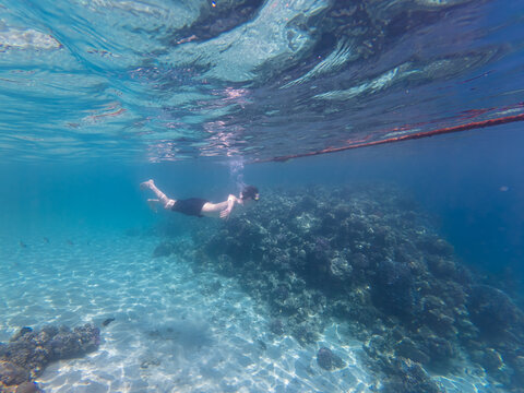Snorkeler exploring tropical coral reef in crystal clear turquoise water