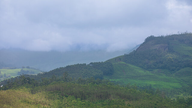 Panoramic View of Misty Hills and Lush Green Valleys in Munnar, Kerala, India