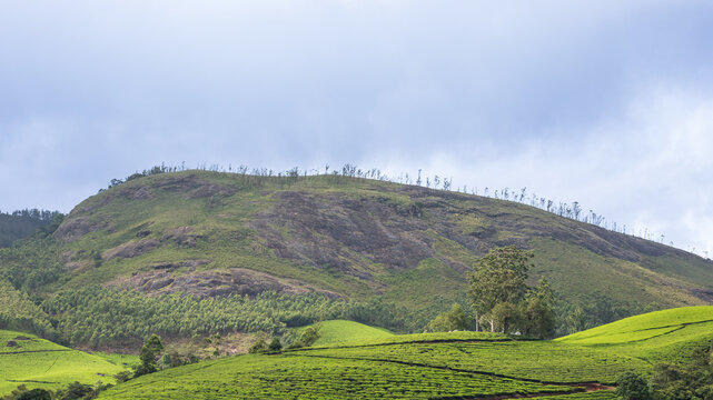 Panoramic View of Misty Hills and Lush Green Valleys in Munnar, Kerala, India