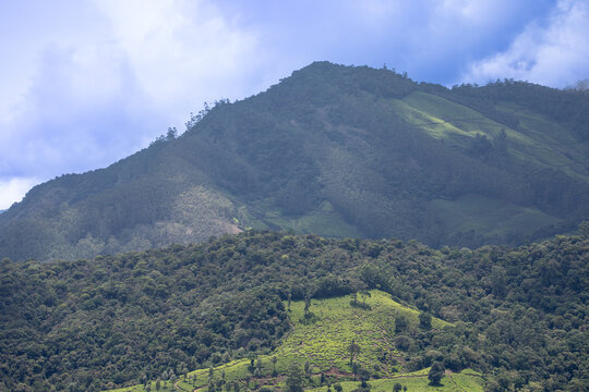 Panoramic View of Misty Hills and Lush Green Valleys in Munnar, Kerala, India