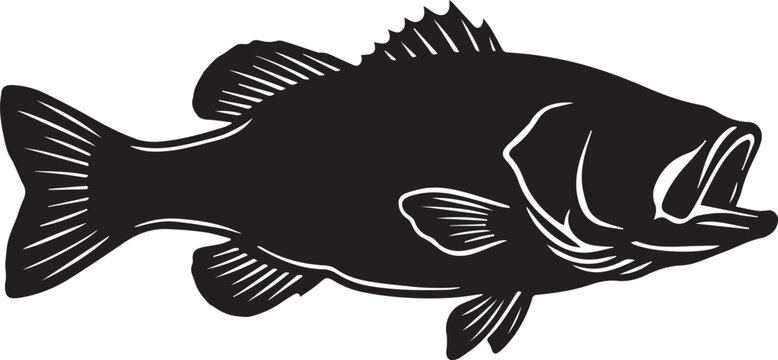 Black bass fish illustration isolated on white background for design