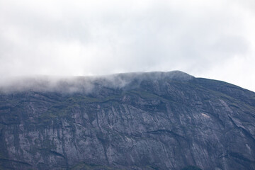Obraz premium Cloud-Covered Mountain Landscape in Munnar, Kerala