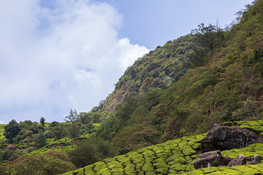 Cloud-Covered Mountain Landscape in Munnar, Kerala