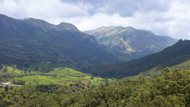Cloud-Covered Mountain Landscape in Munnar, Kerala