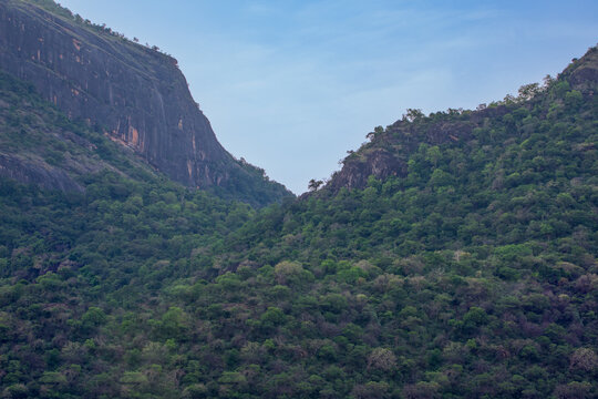 Scenic Rocky Hillside with Green Vegetation in Tropical Forest.