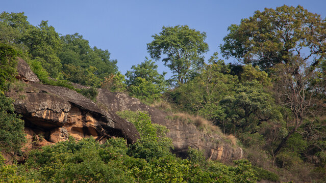 Scenic Rocky Hillside with Green Vegetation in Tropical Forest.