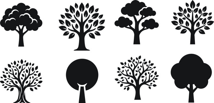 Deciduous Trees Silhouette Icon Set Featuring Black And White Botanical Vector Elements