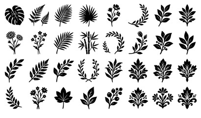 Fototapeta premium Tropical Botanical and Floral Silhouette Icon Set Featuring Monstera Palm Fronds Fern Leaves Wreaths and Damask Ornaments for Elegant Pattern Layouts