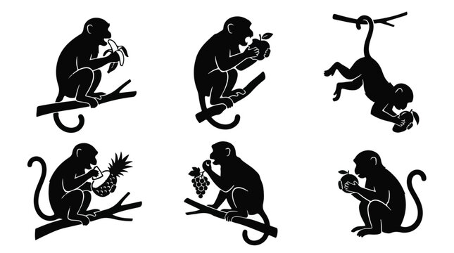 Monkeys eating fruits, sitting on branch