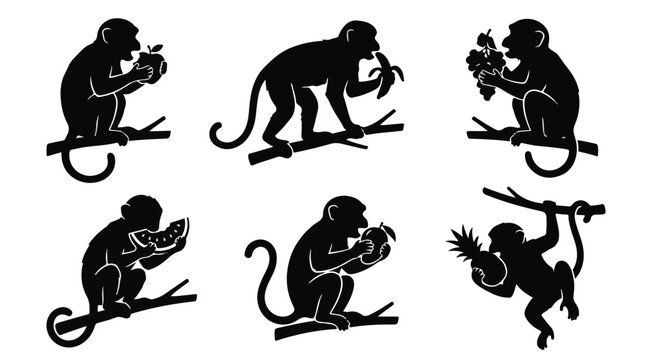 Monkeys eating fruits, sitting on branch