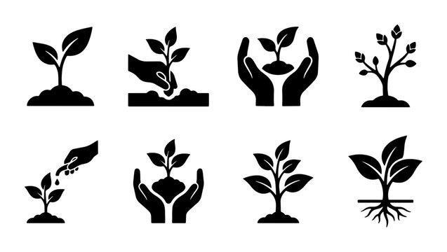Plant Growth Icons: Seedling Sprouts, Planting, Hands Caring, Rooted Saplings, Vector Set