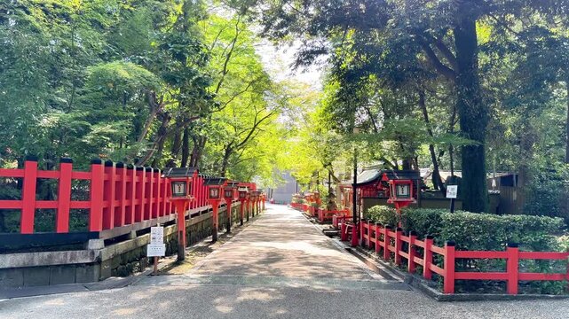 Sunlit shrine path bordered by vermilion fences and trees
