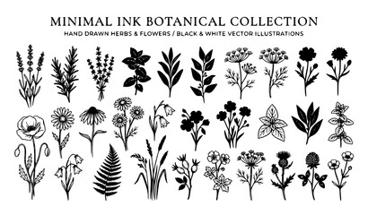 Obraz premium Minimal Ink Botanical Herb and Flower Vector Collection with Hand Drawn Floral Silhouettes for Packaging, Textile and Surface Pattern Design