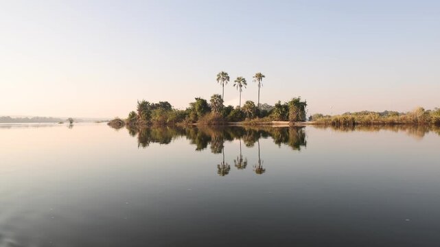 palm trees and sunrise on the Zambezi River, Zambia, Africa