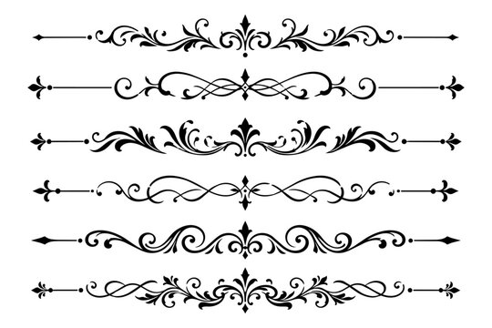 Fancy vector graphic design dividers for layout and presentations, floral scroll element series 