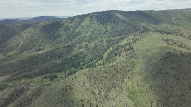 Aerial View of Lush Green Mountain Landscape
