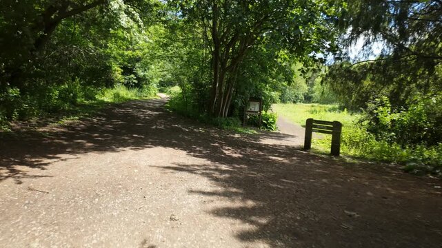Ferry Meadows, Peterborough, England, UK - June 09 2026: POV, gimbal stabalised walking, toward a choice of 2 paths, choosing the left one and walking through Ferry Meadows' Bluebell Woods.