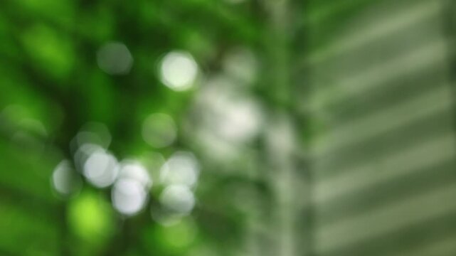 Cinematic Natural Forest Bokeh: Soft Flickering Green Light Background in 4K