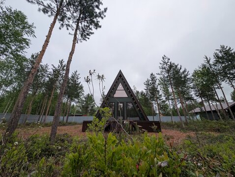 Dark wood aframe cabin with triangular roof and string lights stands among dense pine trees beneath cloudy overcast sky, while low viewpoint shows shrubs, groundcover, and forest texture