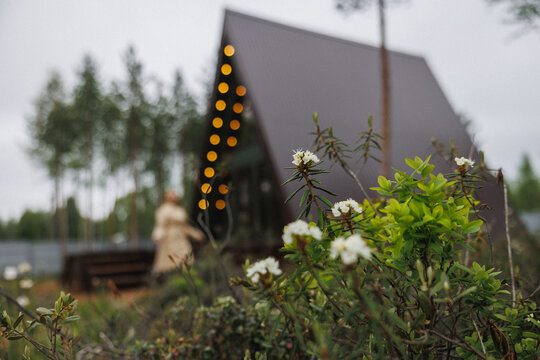 White wildflowers and green foliage in sharp foreground with shallow depth of field, blurred modern triangular cabin with warm string lights along its edge in midground, tall pine trees and overcast