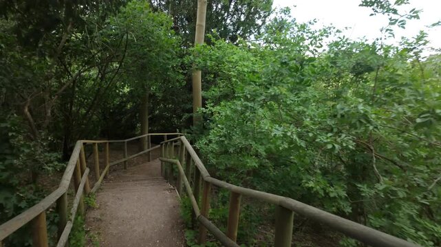 Point of View, gimbal stabalised, walking footage showing a walk down the steps from the top of the Bluebell woods in summer to the boardwalk and the river nene