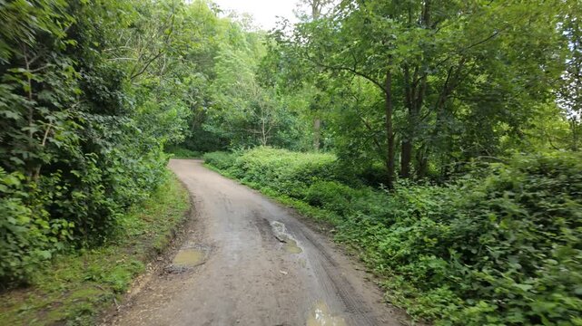Ferry Meadows, Peterborough, Cambridgeshire, UK - June  2026: Point of View, gimbal stabalised walking footage through Ferry Meadows Bluebell woods during summer with the sound of birds, vibrant green