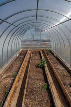 Empty arched greenhouse interior with translucent polycarbonate walls, wooden raised beds, soil, young seedlings, bright daylight, reflective surfaces, and tidy growing rows inside