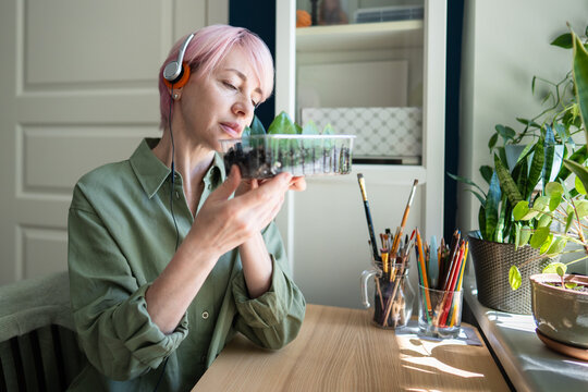 Calm mature woman gardener at home enjoying gardening hobby and listening to music, relaxed female sitting at table examines box with Zamioculcas leaves sprouts, slow life and green lifestyle