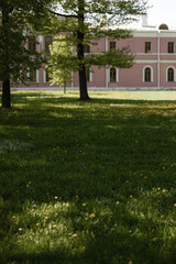 Obraz premium Sunlit urban park scene with dense green grass, small yellow flowers, deep tree shadows, two mature deciduous trees with leafy canopy, and pink historic facade softly visible in background
