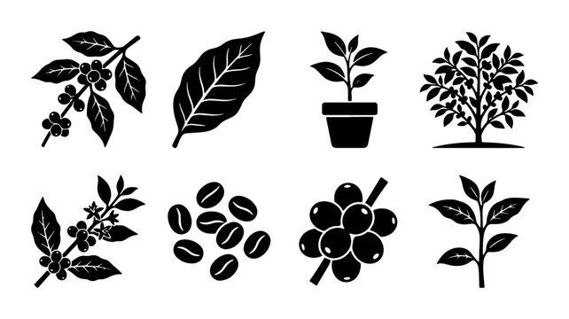 Coffee Plant Icons Set: Branches, Beans, Leaves, Sapling, Tree, Vector Graphics for Beverage Industry