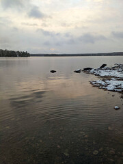 Naklejka premium A wide landscape view of a calm lake on a cold winter day. The foreground features a rocky shoreline patched with fresh snow, leading to a distant tree-lined horizon under a soft overcast sky.