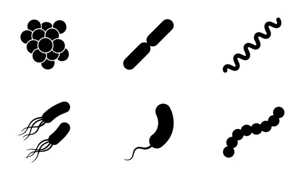 Diverse Microbe Shapes Vector Icons: Bacteria, Cocci, Spirilla, Bacilli, Vibrio, Strepto