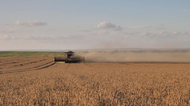 Combine Harvester Harvesting Wheat Field creating Dust Cloud during Golden Hour | Harvest Season