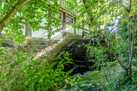Wasserm&uuml;hle Riesau