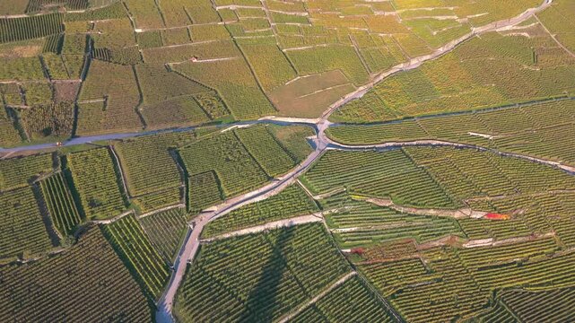 Autumn drone flight over the Lavaux vineyards at sunset