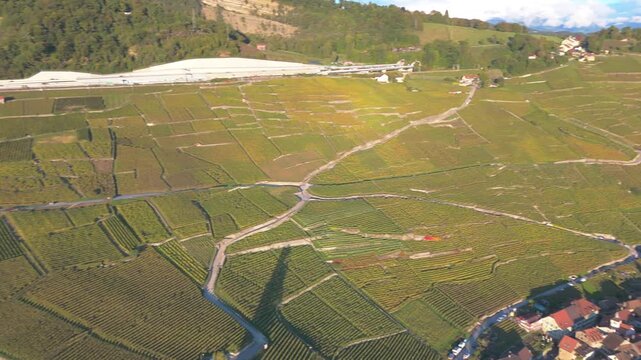 Aerial drone view of Lavaux vineyard terraces at sunset